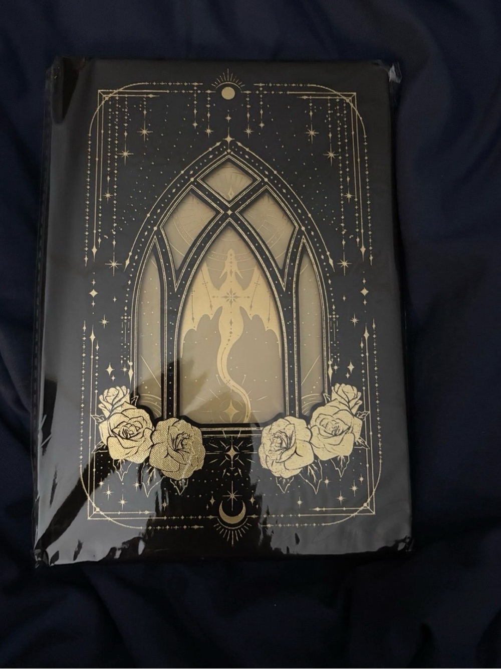 Fourth Wing journal